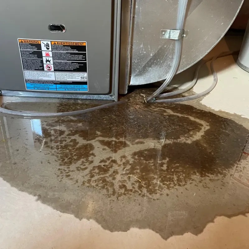 Appliance Leak Cleanup in South Greeley, WY